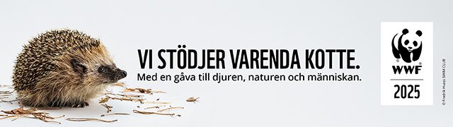 Vårt företag är WWF Vänföretag 2017
